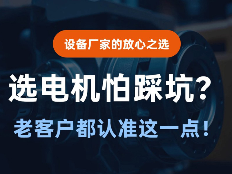 选电机怕踩坑？老客户都认准这一点！